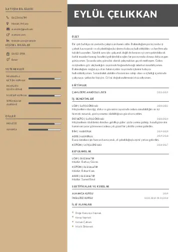 cv indir